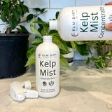 Kelp Mist by Elm Dirt - Vysn