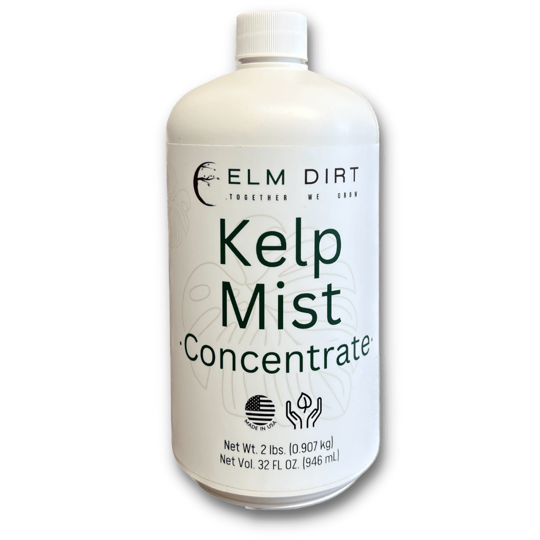 Kelp Mist by Elm Dirt - Vysn