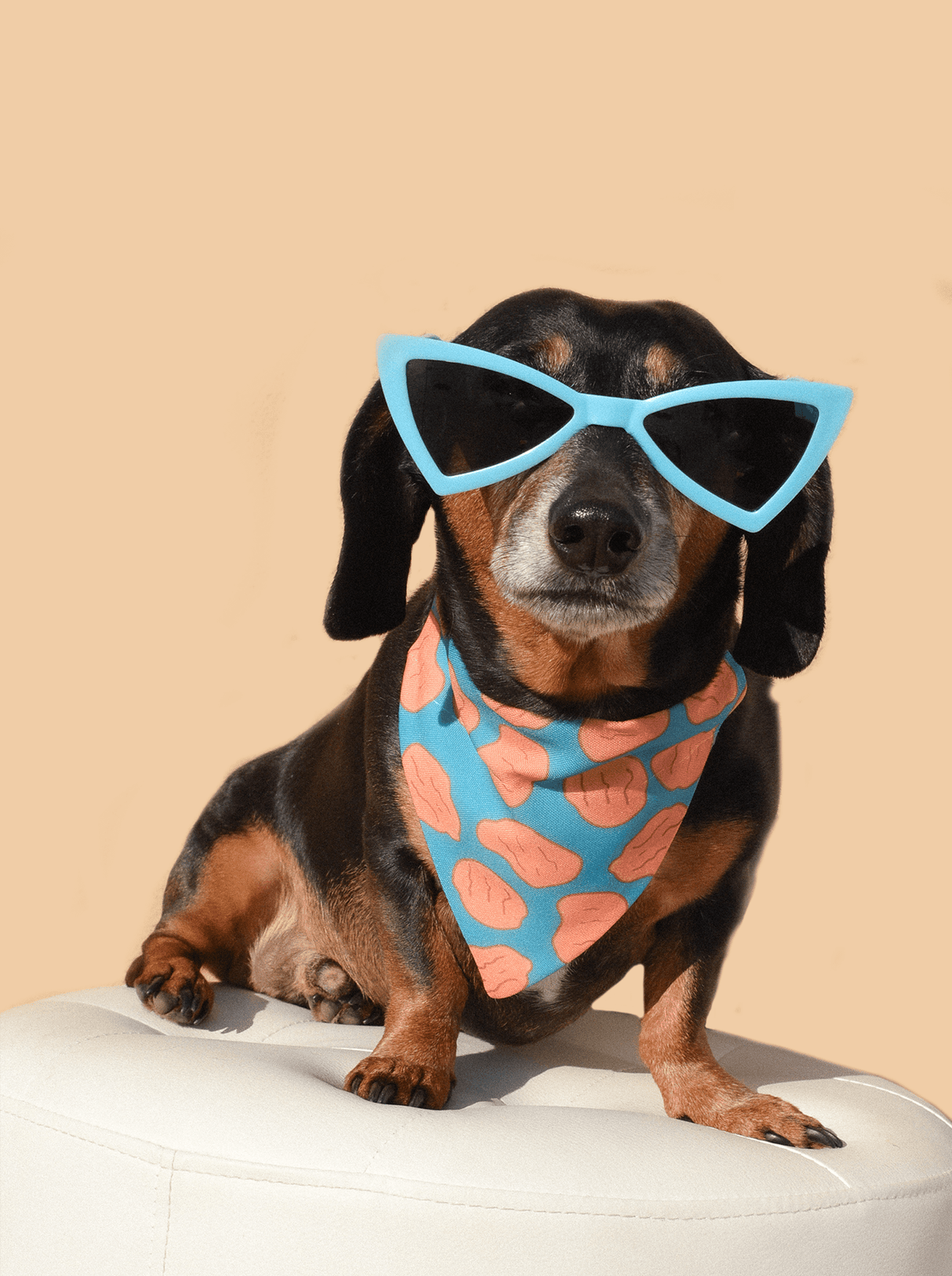 Little Nuggets Bandana by Dope Dog Co - Vysn