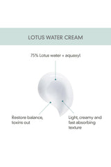 Lotus Water Cream by Rovectin Skin Essentials - Vysn