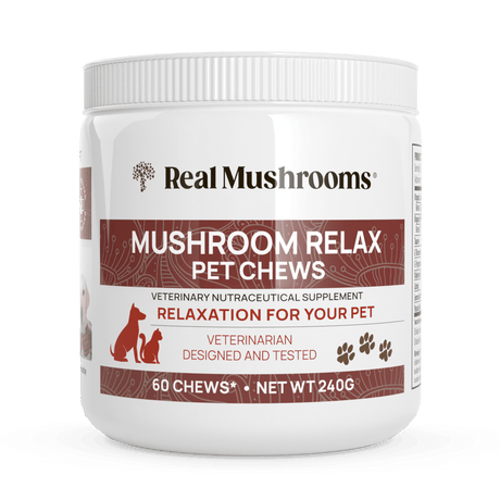 Mushroom Relax Pet Chews by Real Mushrooms - Vysn