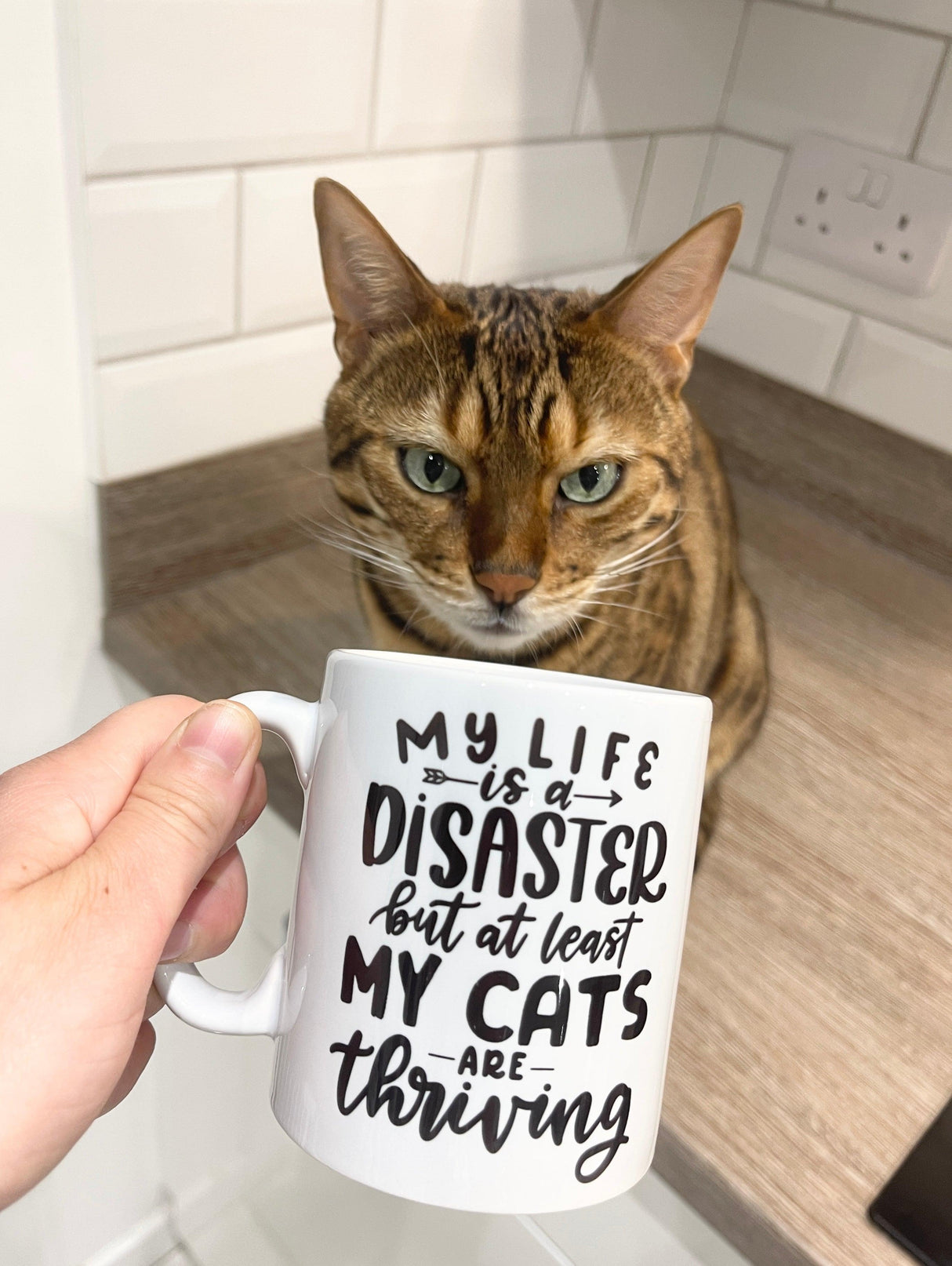 My Life Is A Disaster But At Least My Cats Are Thriving Mug by WinsterCreations™ Official Store - Vysn