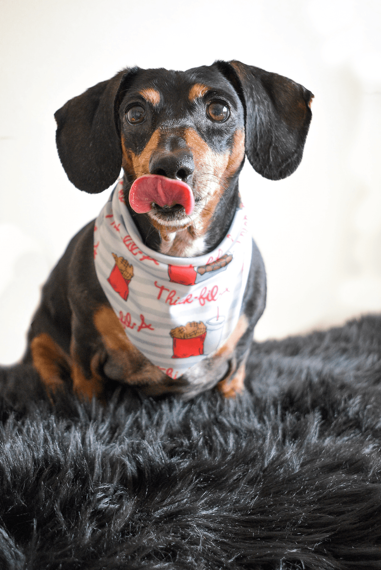 Nuggets and Fries Bandana by Dope Dog Co - Vysn