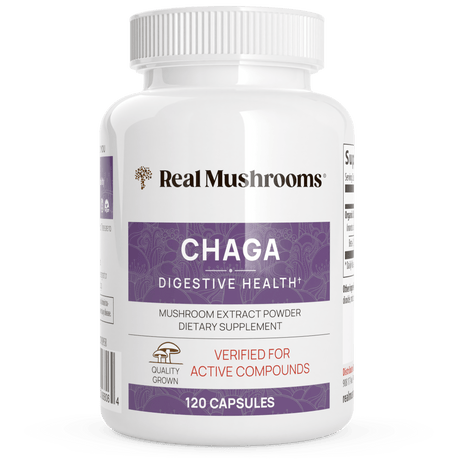 Organic Chaga Extract Capsules by Real Mushrooms - Vysn