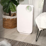 Oval Air Purifier by OVAL AIR - Vysn