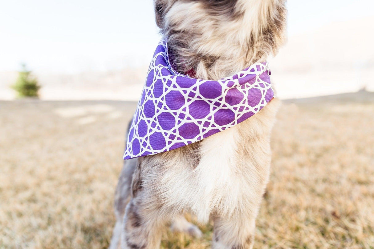 Purple Trellis Reversible Dog Bandana by Uptown Pups - Vysn