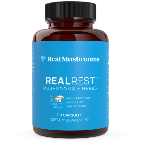 RealRest - Reishi, Valerian and Lemon Balm by Real Mushrooms - Vysn