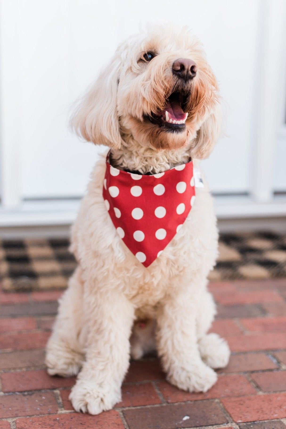 Red Checkered Reversible Dog Bandana by Uptown Pups - Vysn