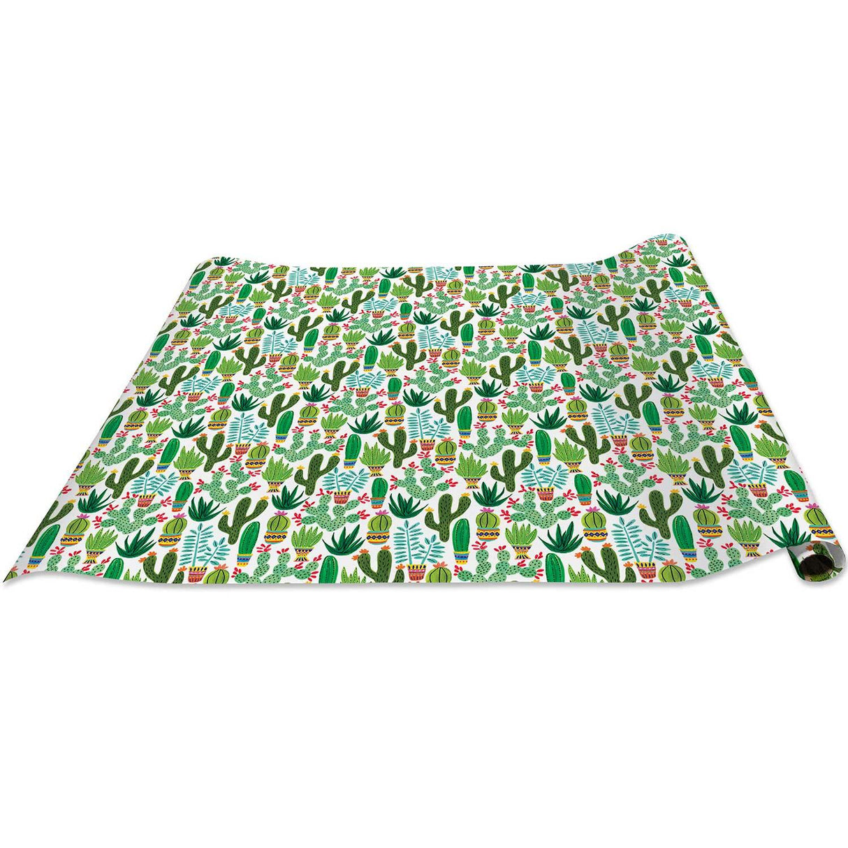 Sedona Cactus Gift Wrap by Present Paper - Vysn