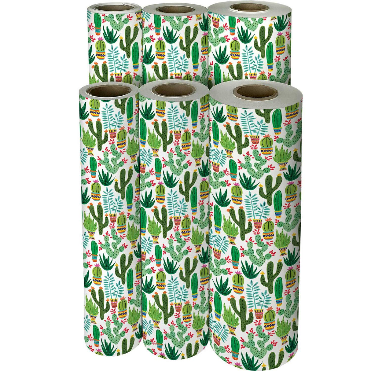 Sedona Cactus Gift Wrap by Present Paper - Vysn