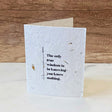 Seed Paper Plantable Card - Socrates by Soothi - Vysn