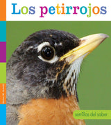 Semillas del saber: Los petirrojos by The Creative Company Shop - Vysn