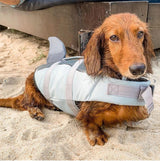 Shark & Mermaid Dog Life Jacket by Dach Everywhere - Vysn