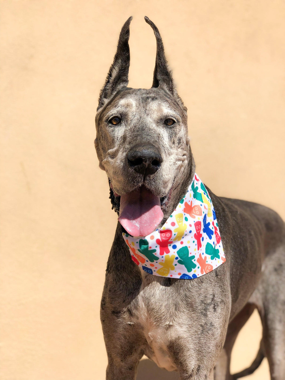 Sugar Rush Bandana by Dope Dog Co - Vysn