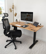 TerraDesk | Eco-Friendly Height-Adjustable Electric Standing Desk by EFFYDESK - Vysn