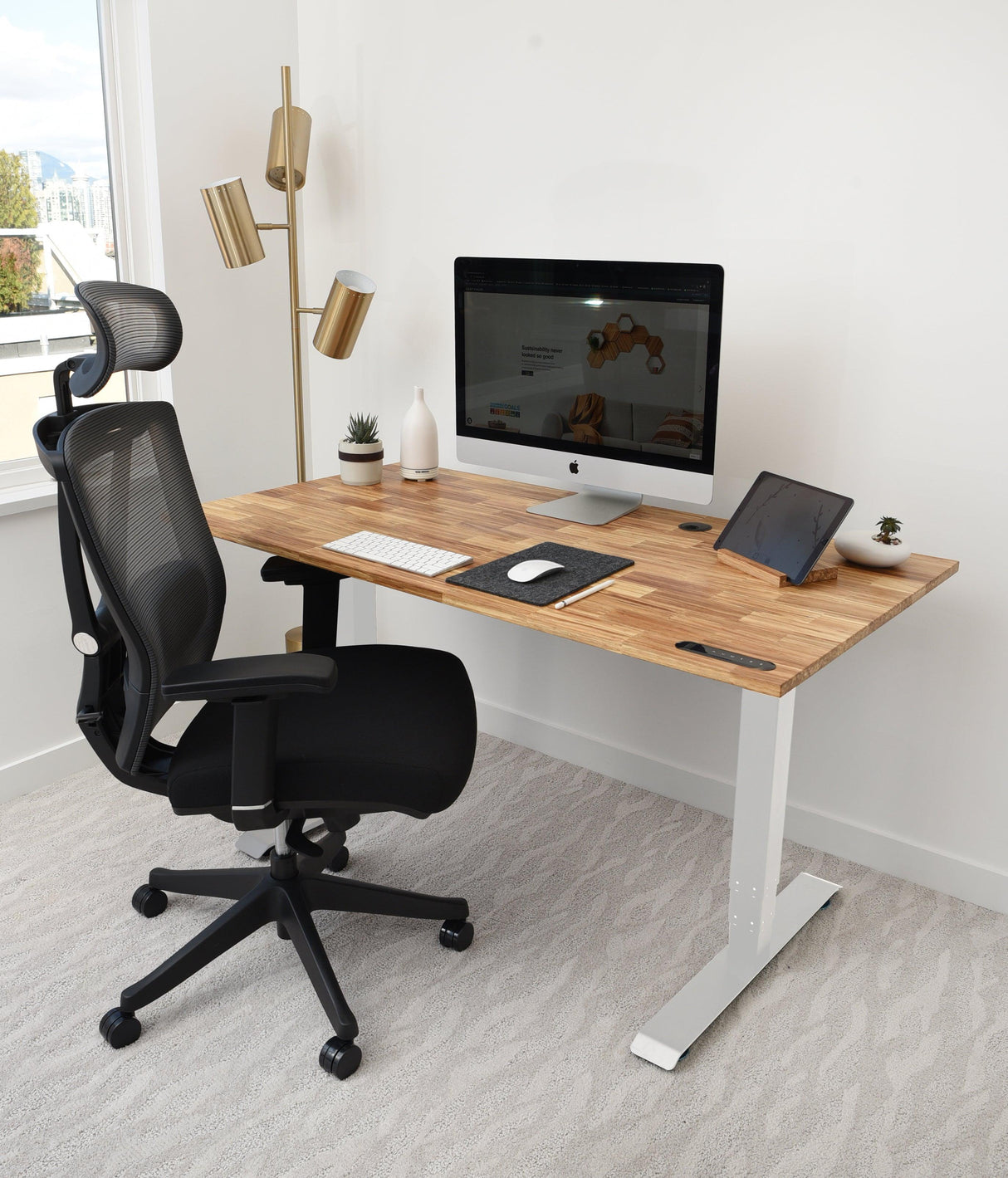 TerraDesk | Eco-Friendly Height-Adjustable Electric Standing Desk by EFFYDESK - Vysn