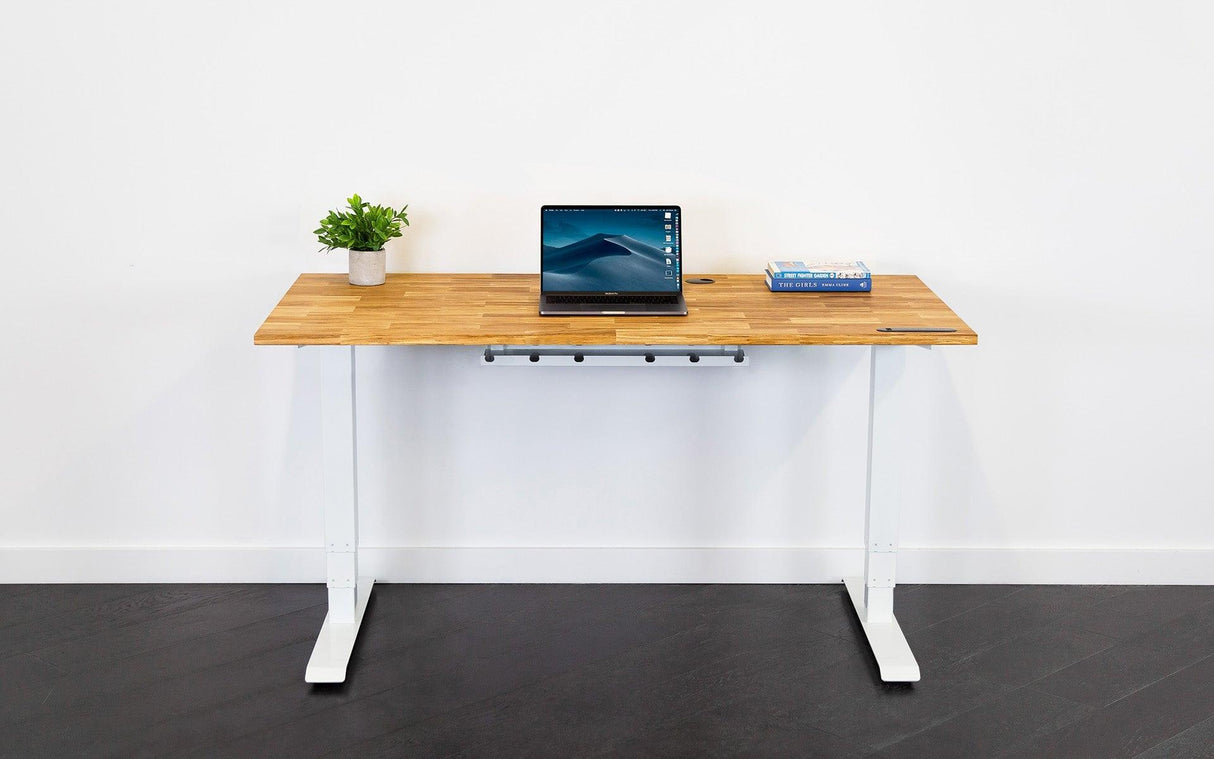 TerraDesk | Eco-Friendly Height-Adjustable Electric Standing Desk by EFFYDESK - Vysn