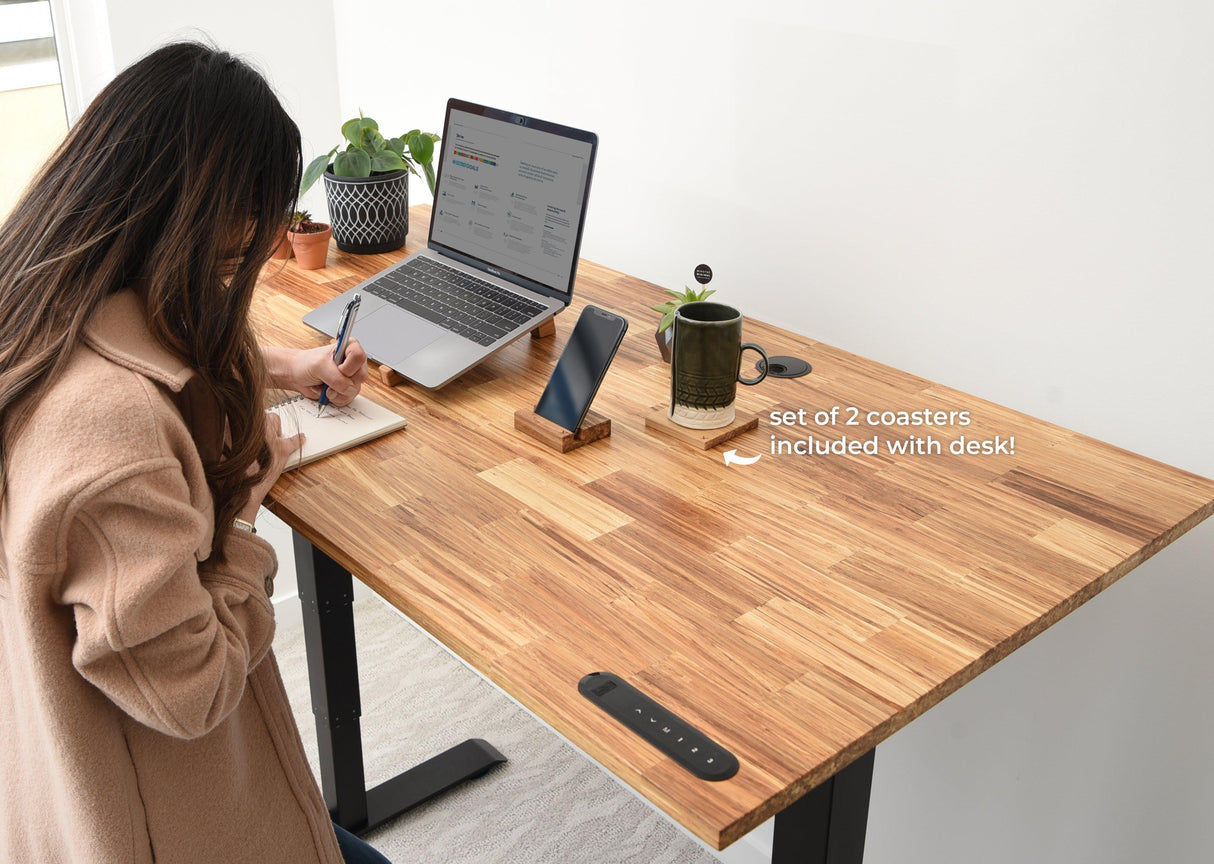 TerraDesk | Eco-Friendly Height-Adjustable Electric Standing Desk by EFFYDESK - Vysn