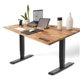 TerraDesk | Eco-Friendly Height-Adjustable Electric Standing Desk by EFFYDESK - Vysn