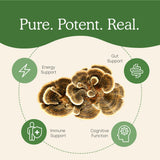 Turkey Tail Extract Capsules by Real Mushrooms - Vysn