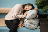 Yuki-Chan Plushie "Japan's Roundest Seal" - XL (Extra Chonky) by Subtle Asian Treats - Vysn